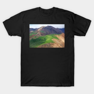 Sable Pass, Denali National Park II T-Shirt